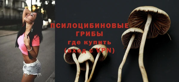 герыч Карпинск