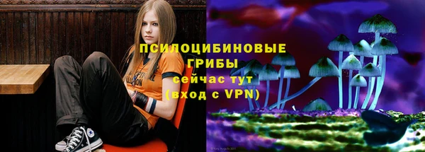 бошки Алексеевка