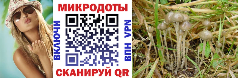 Галлюциногенные грибы ЛСД  Киров 