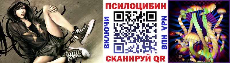 Псилоцибиновые грибы Cubensis Киров